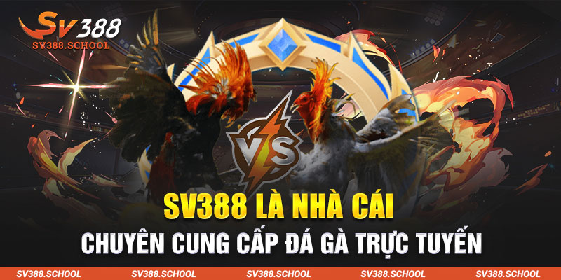 SV388 là nhà cái chuyên cung cấp đá gà trực tuyến