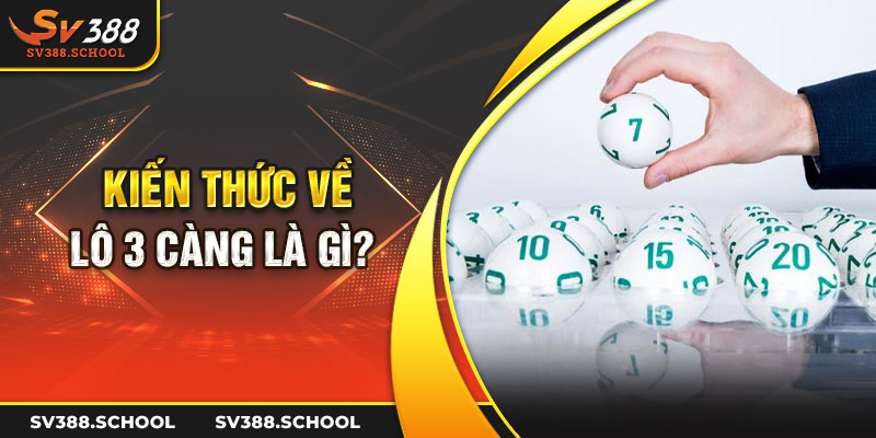 Kiến thức về lô 3 càng là gì?